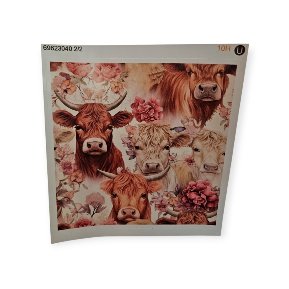 Cute highland cow glossy sticker